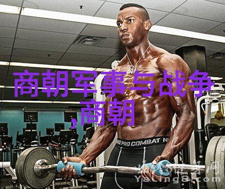 刘伯温晚年智商再起飞但生活还是不够算