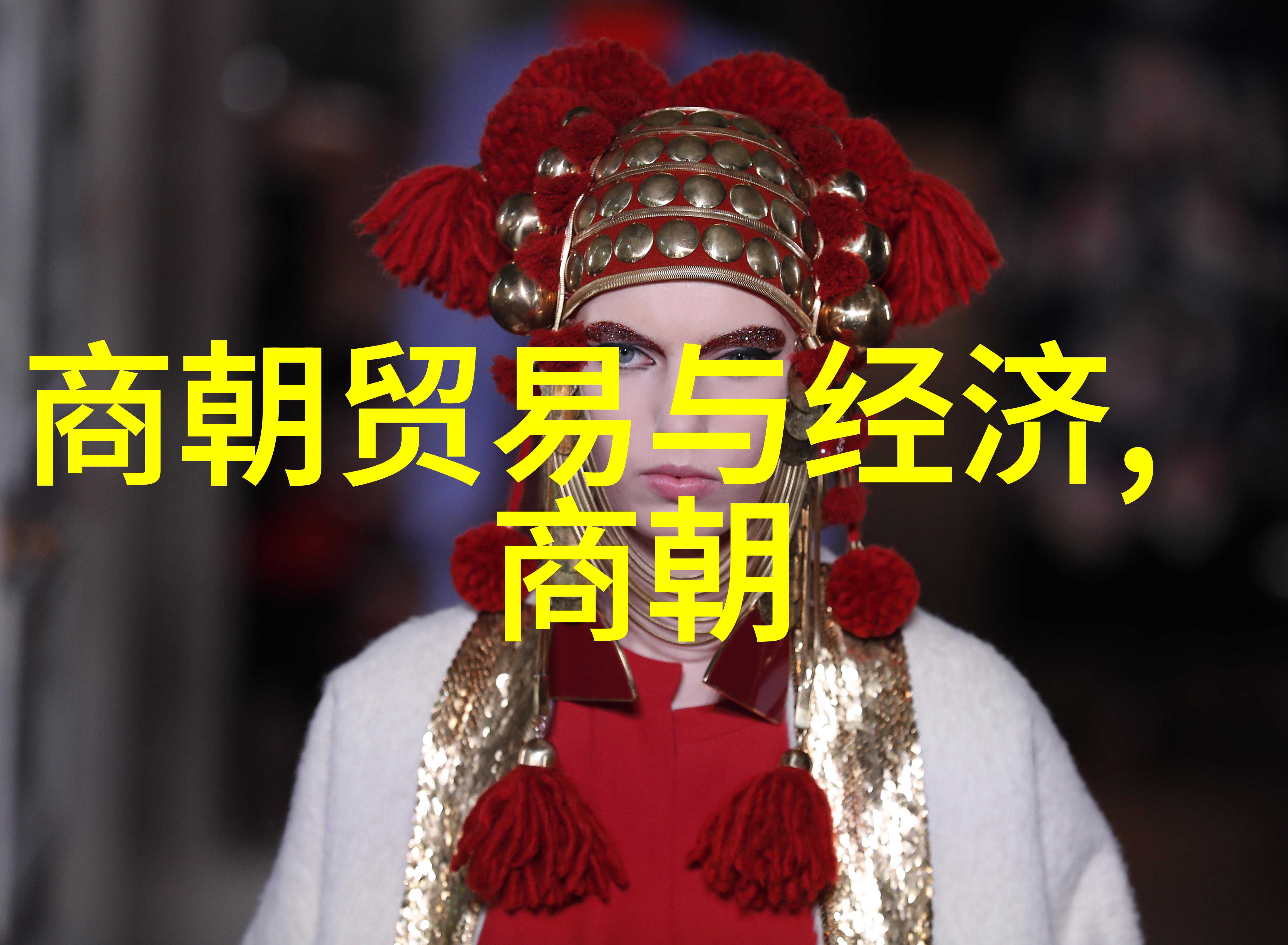 明朝大全如何理解这段中国历史的缩影