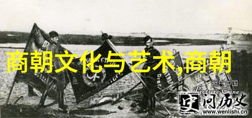 宋国历史从高宗到理宗的兴衰
