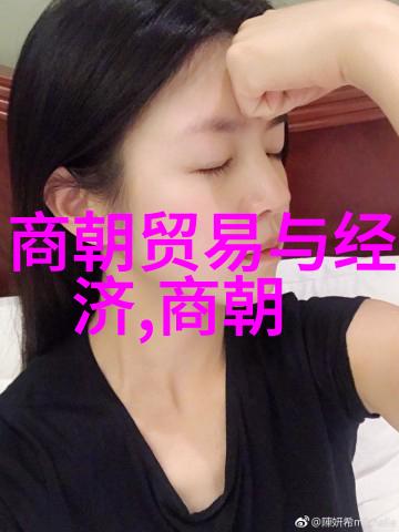 明朝名人辉煌明朝杰出人物的光芒