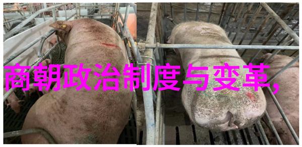 明朝的诡异事件揭秘神秘迷雾中的奇谈怪论