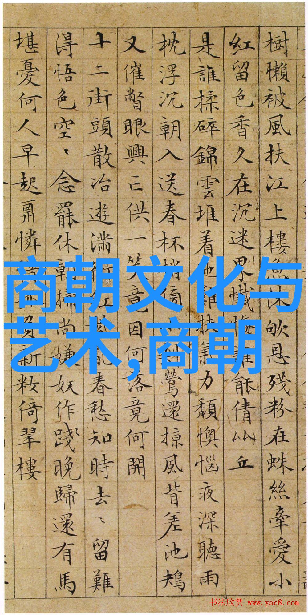 张瑞希与徐德福共舞杨式太极拳轻盈起舞