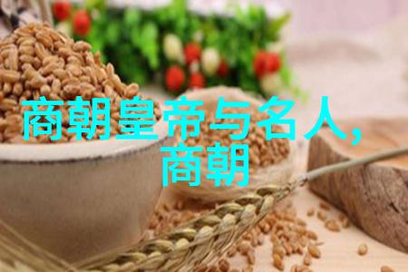 明太祖朱元璋的清洗政策及其对明朝后期的影响