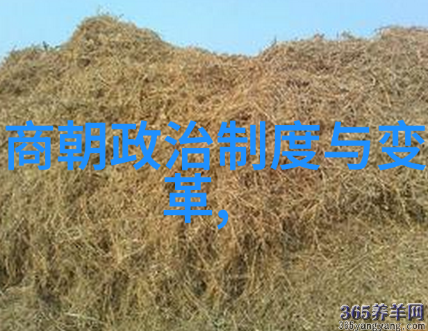 明清交接历史的断裂与新纪元