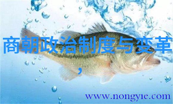 明朝历史再现副厅级干部的文笔与魅力