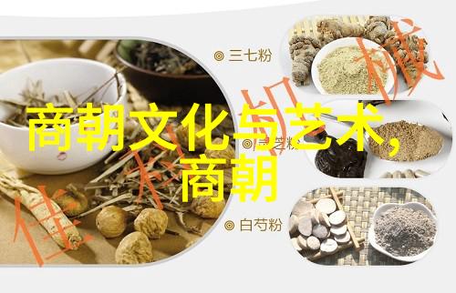 文明之光帝国之梦重新审视每一个历经沧桑的时代