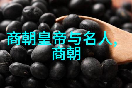 穿越历史探索唐朝后期的政治与宗教诡计
