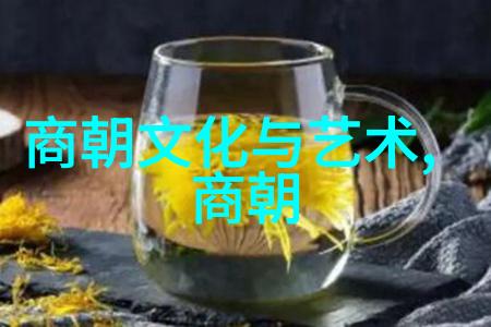 明朝那些事儿秦良玉清宫秘史中的才女