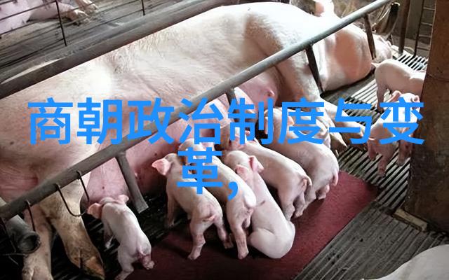 博果尔的娘和大玉儿是什么关系-传说中的姻缘与秘密