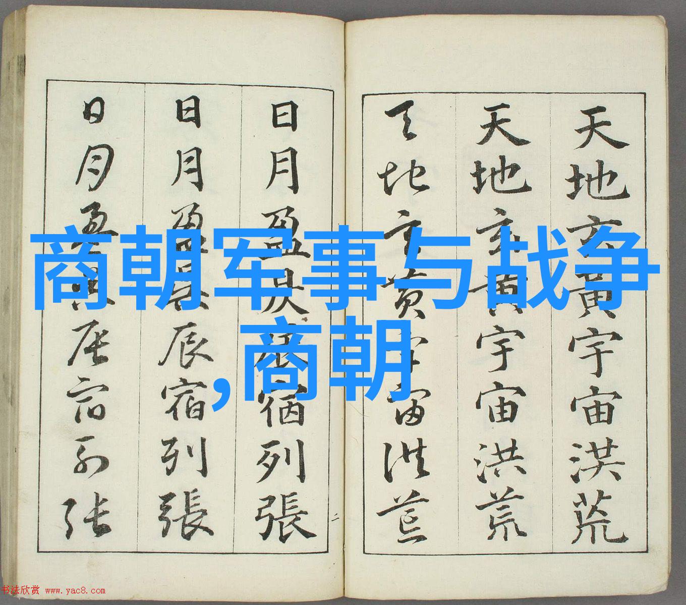 元朝秘史为什么历史上这段时期像个躺在沙发上的大猫总是被无情地踢到一边