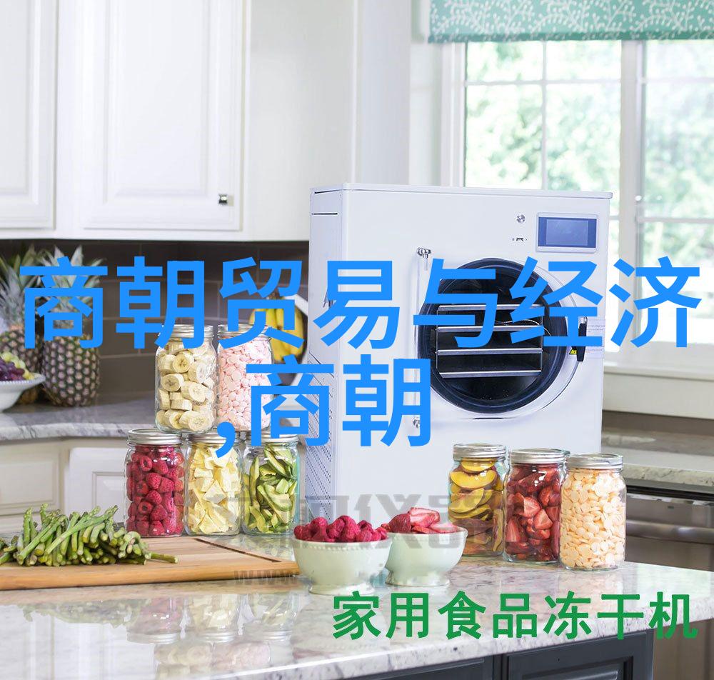 朱棣夺位一个看似无谋实则精心的政治转变