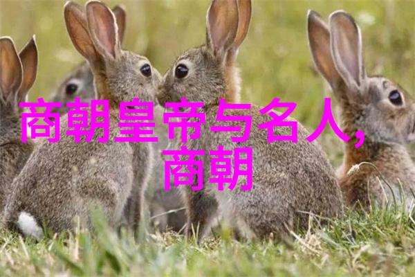 南明灭亡之后还有小朝廷-遗民抗争探索南明末期的小朝廷与抵抗运动