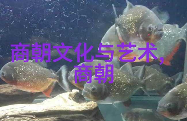 明朝王室成员的人数统计及其背后的故事