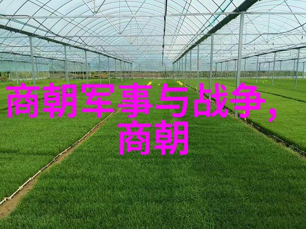 明朝末日从土木堡之变到李自成的三大法宝