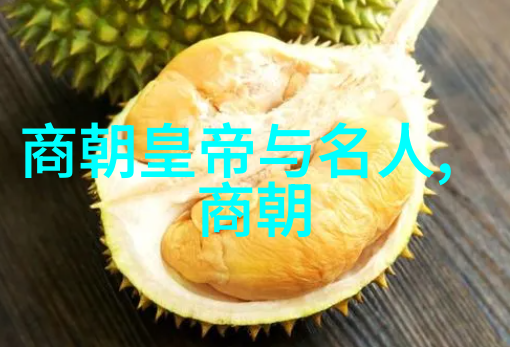 黄梅戏传奇韩再芬旦行演员的精彩章节