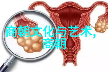 历史朝代时空穿梭图解中外王朝的交错纠葛