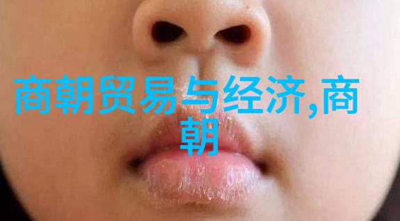 南宋历史简介20字-重建江南的辉煌与挣扎