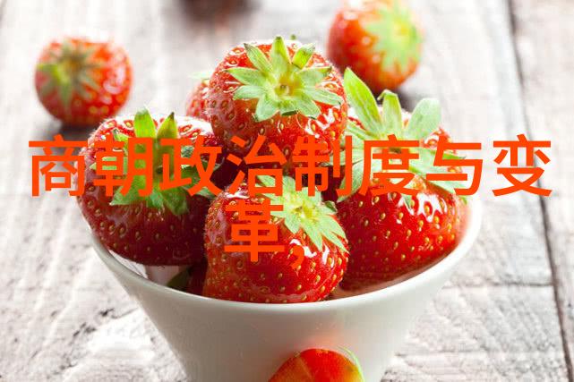 宋朝贸易如同繁星点点经济却似城墙高耸贸易壁垒若是一道道断崖绝壁将使得这片繁华之地大幅下挫