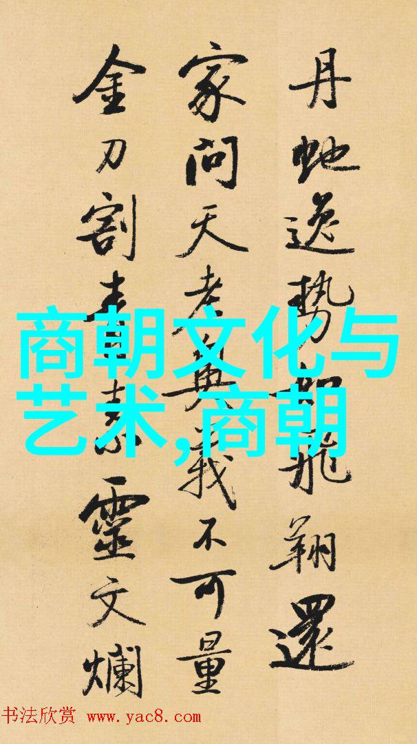 南宋风华从靖康之变到元兵入关的历史沧桑