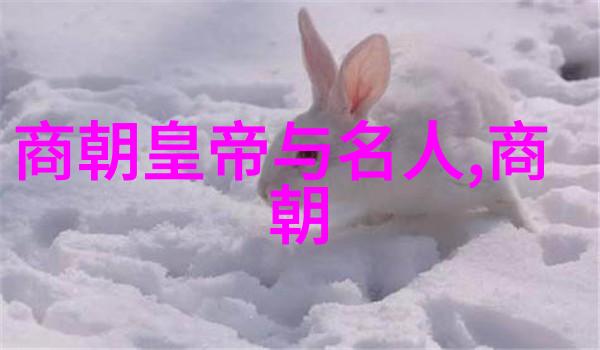 午夜伦理探索人性深处的秘密