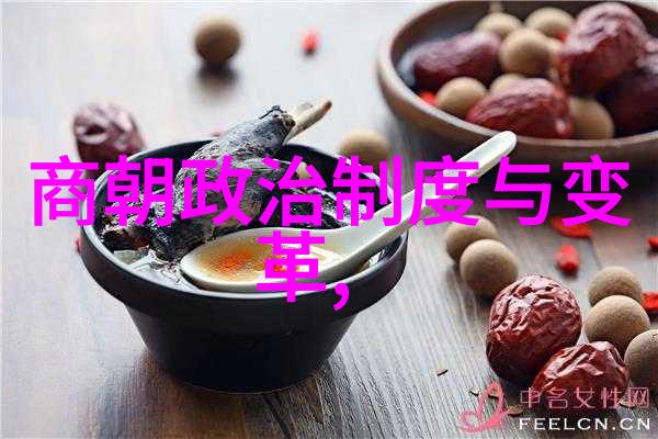 一夜恩宠星辰下的奇迹