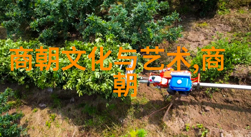 中国历史朝代的长河一览千年兴衰