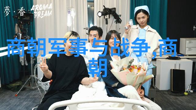 土木堡奇遇宫女的绘画记