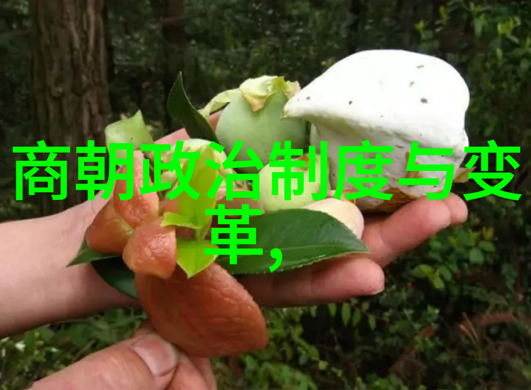 主题-爱河的窗口JEALOUSVUE进不去的无尽猜测