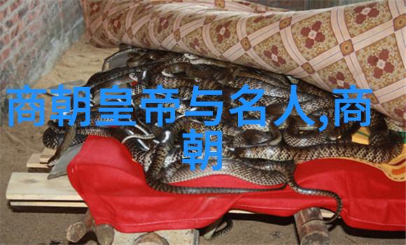 王珮瑜是男是女的京剧票友李经畲的独特魅力