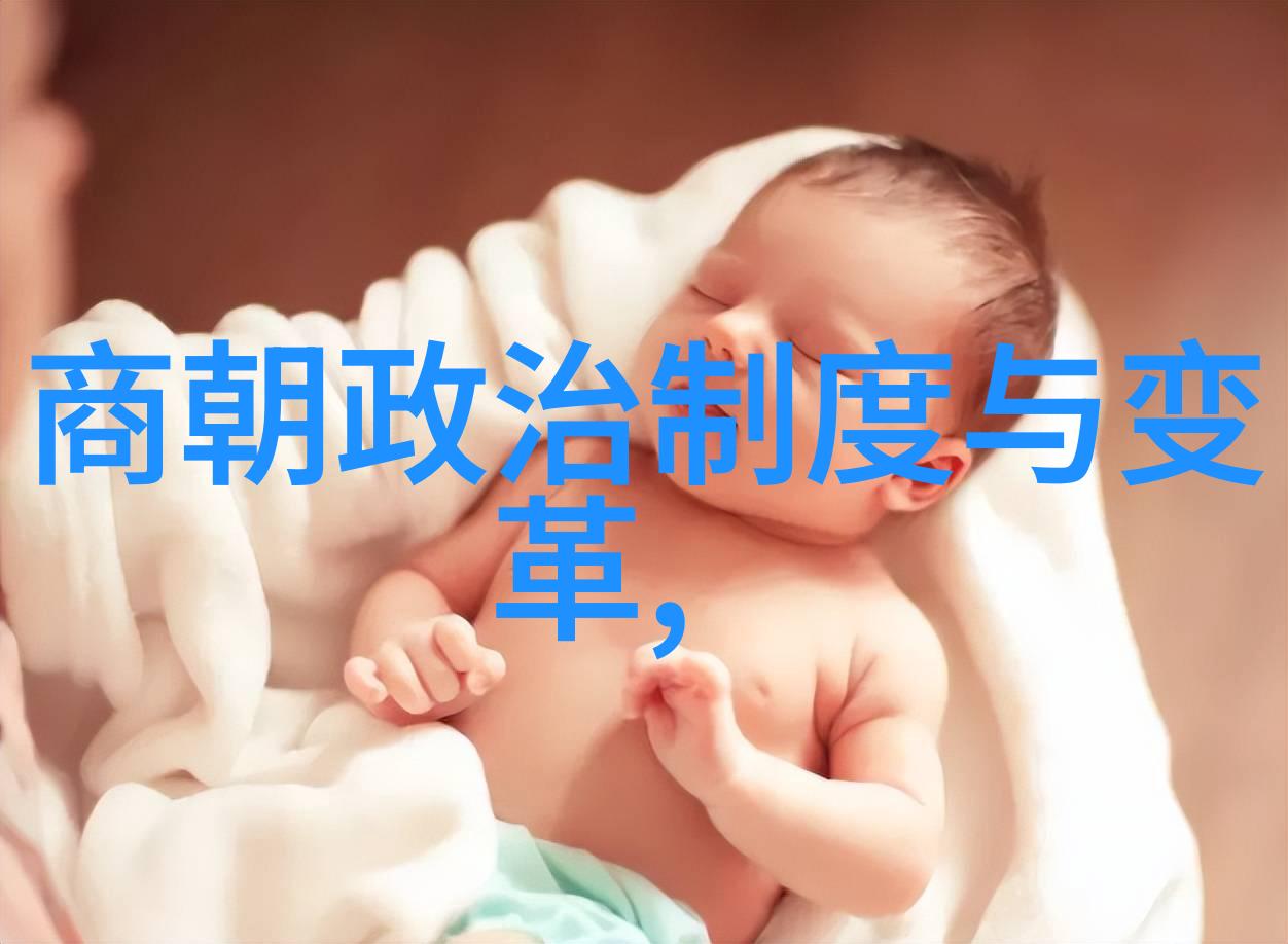 明朝的巅峰解读1590年政治文化与社会的辉煌