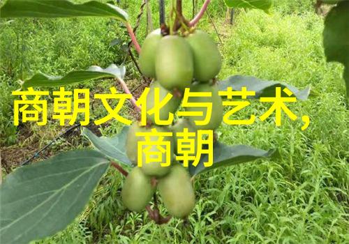黄梅戏天女散花潘璟琍筱玉琴倾情演绎旦行艺术