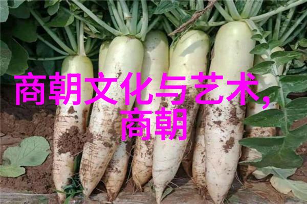 明朝的盛世-锦绣江山论明朝鼎盛时期的繁荣与辉煌