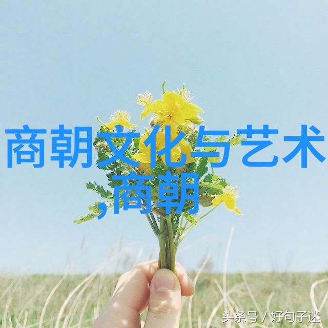 中国历史朝代的辉煌与衰落从秦汉到清末的变迁探究