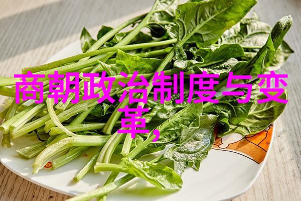 元朝末日明朝的崛起与辉煌