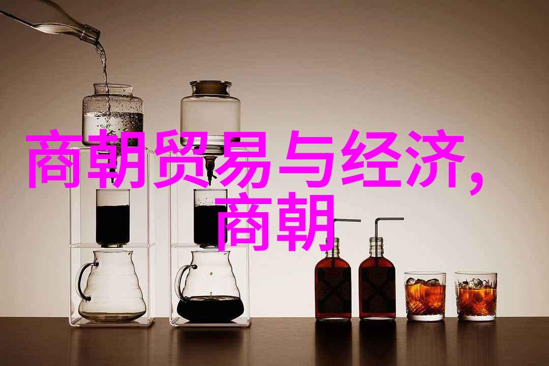 清兵入关前的明朝经济状况如何