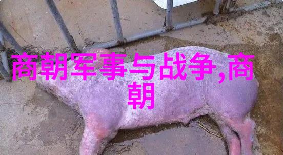穿越时空的大历史漫游中国历朝历代的笑谈与趣闻