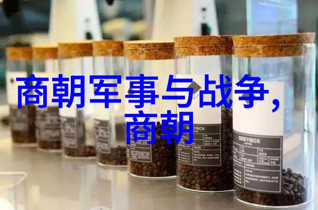明朝功臣们的排名之谜他们真的如同星辰般璀璨吗