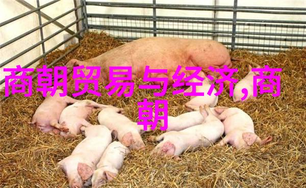 仅在位数月的明朝皇帝他的故事和遗憾
