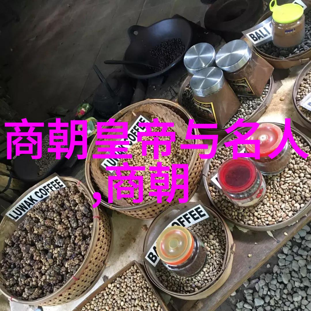 元顺帝北逃后的元朝历史蒙古帝国西迁的转折点