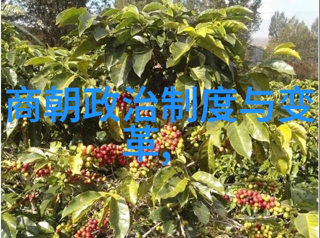 王冠亚黄梅戏之谜的解开者今夜与你共赏艺术节