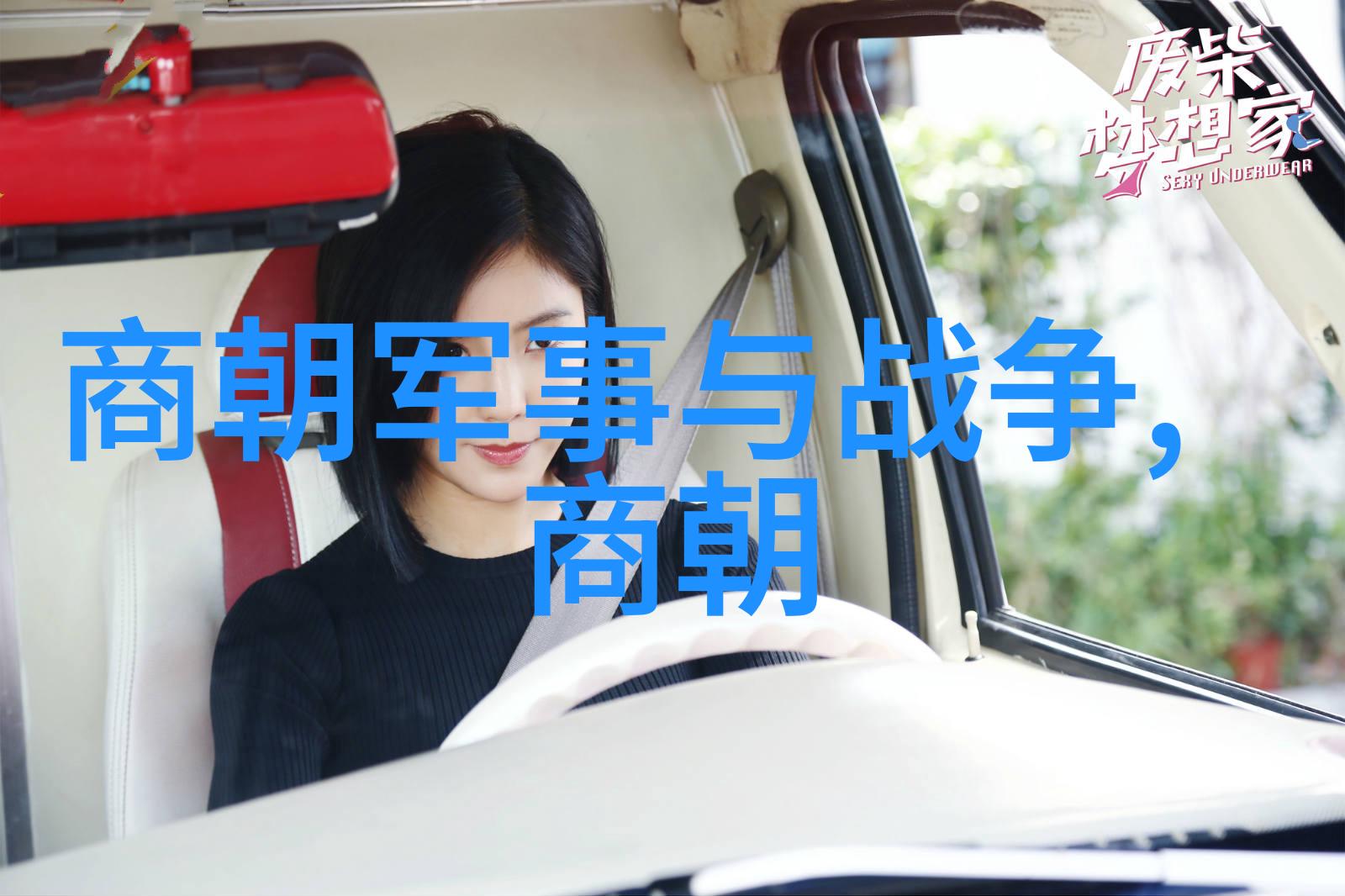 权倾朝野与孤寂皇宫明清历代帝王的两面人生