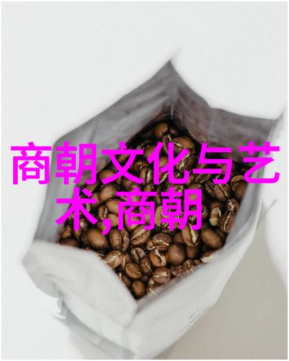 探索中华璀璨中国历史文化的丰富内容与深远价值