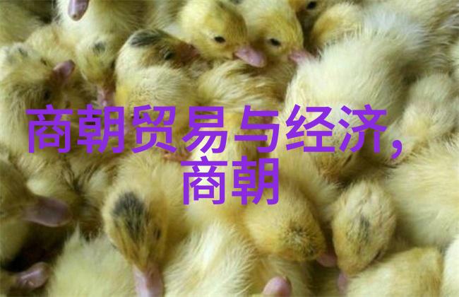 朱允炆与朱棣历史上的两位帝王及其对决的原因分析