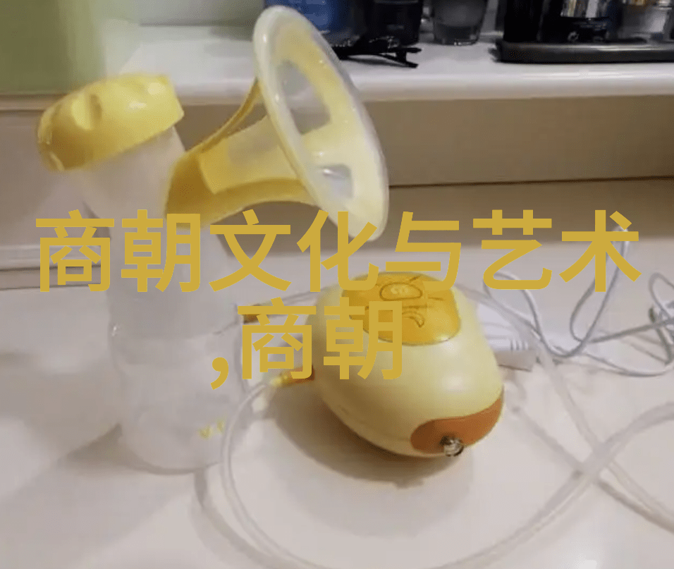宋代史料我亲眼见证的历史从宋真宗到宋徽宗的变迁