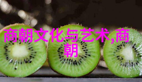明朝历史的阴暗面探究揭开明朝真实面的迷雾