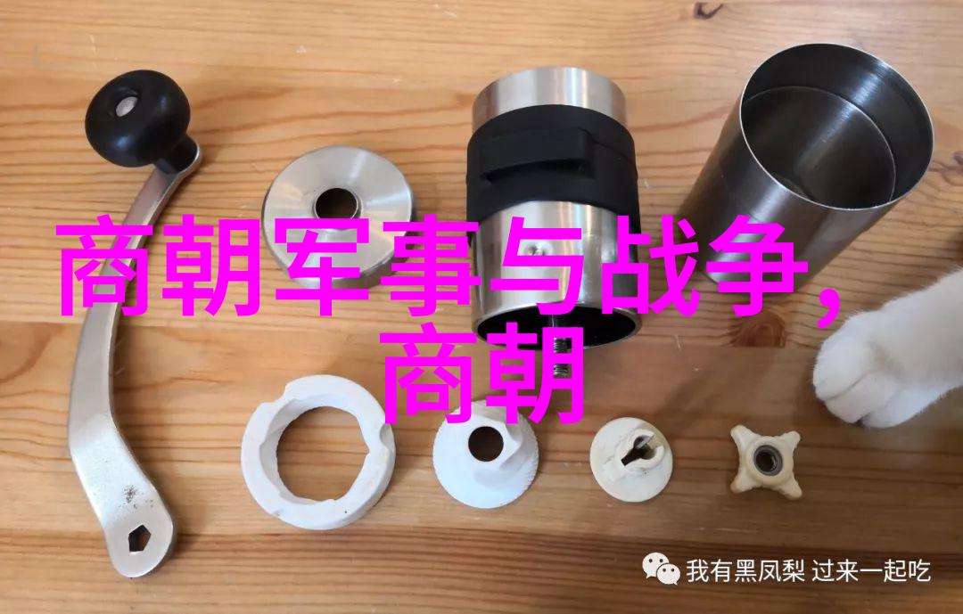宋朝的辉煌与衰落一统天下的大梦破碎