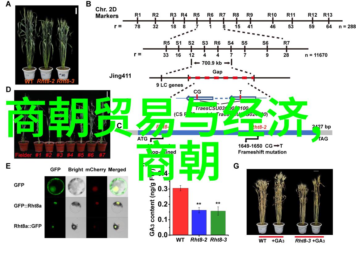 元朝灭亡时有多恐怖我亲眼见证了那场末日的恐慌
