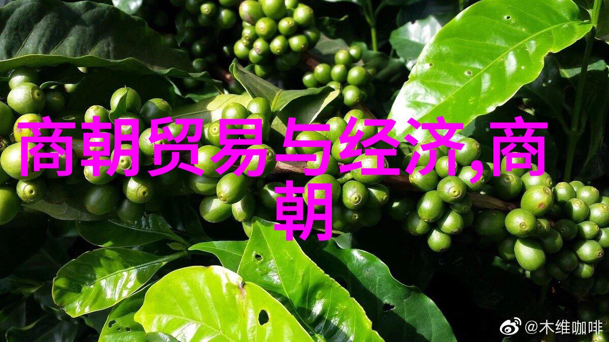 明太祖朱元璋是如何确立明朝政权的