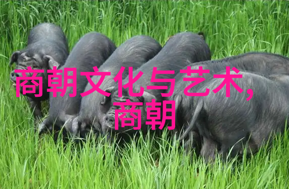 明朝那些事电视剧历史迷雾中的江湖奇缘