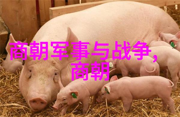 明末之兆明朝灭亡前一年诡异事件集